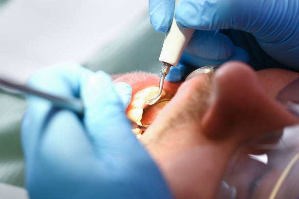Best Dentist Open Late Near Me  in Stedman, NC